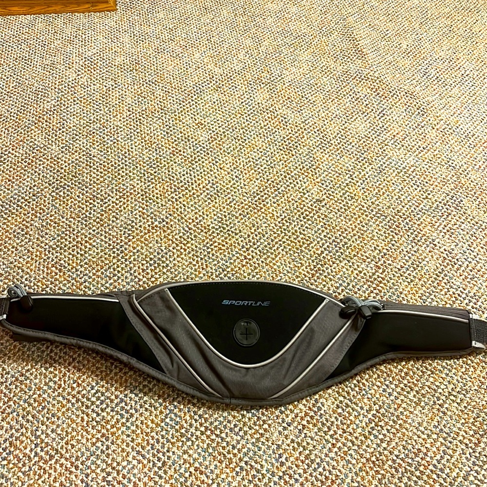 Fannypack
